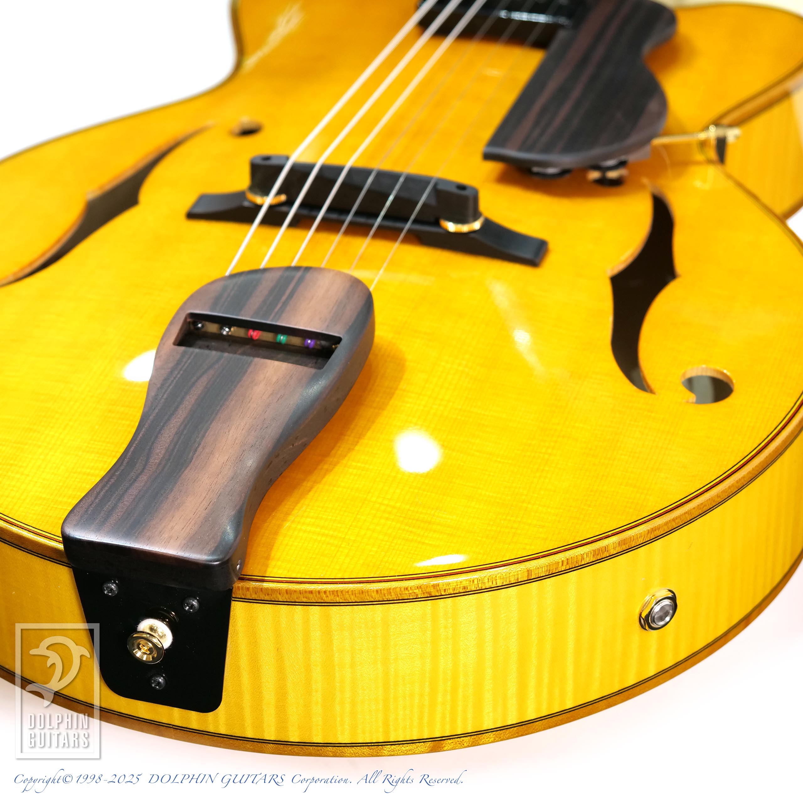 Rozeo:Ladybug Ltd. SFM-C/SI